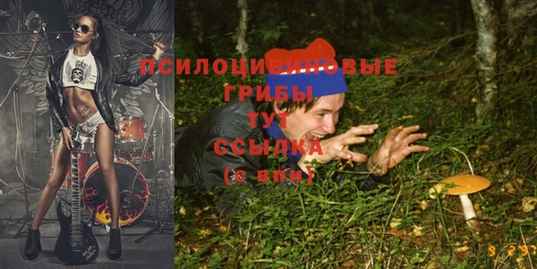 ALPHA PVP Новозыбков