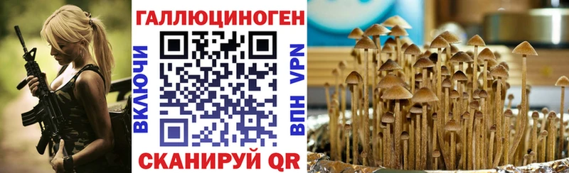 как найти закладки  МЕГА ССЫЛКА  Галлюциногенные грибы мицелий  Губкин 