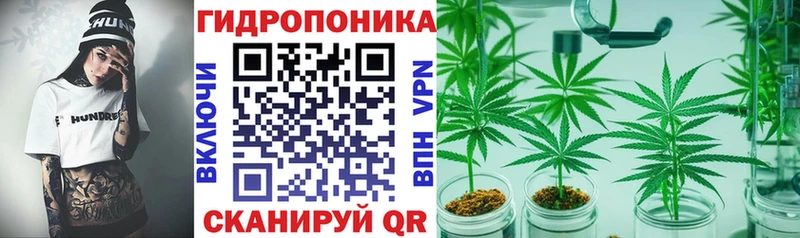продажа наркотиков Губкин Шишки марихуана сатива